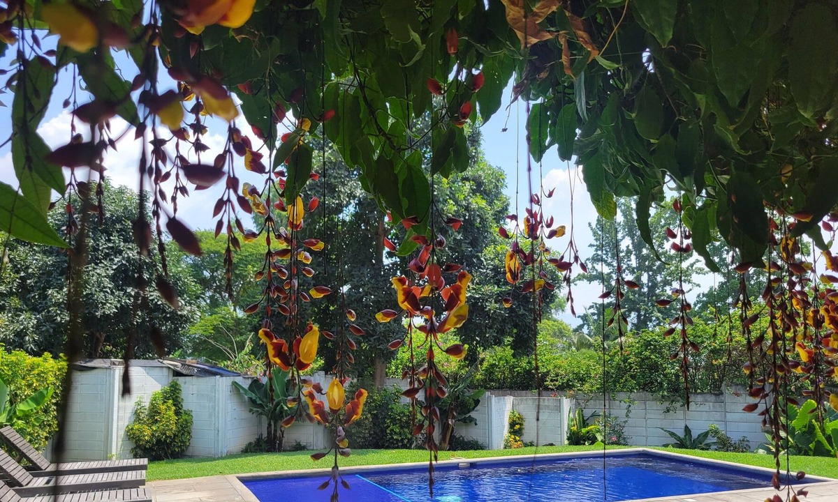 Antigua Guatemala Villa | Entire lovely Villa- terrace and access to a swimming pool