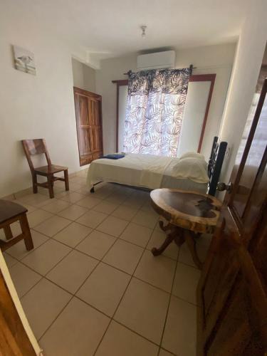Lazaro Cardenas House | ESPERANZA Casa de Huéspedes