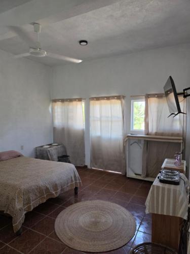 Emiliano Zapata Apartment | Estudio Arena