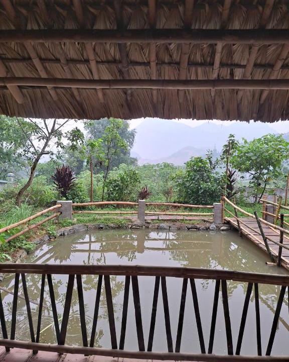 Ha Giang Bed & Breakfast | Field Homestay