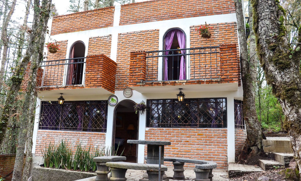 Pachuca Cabin | Finca de los Leones - Cabaña Primavera