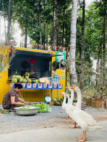 Quan Tom House | Forest Side Ecolodge