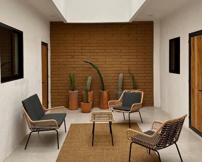 Centro House | Galeana art house/historic center