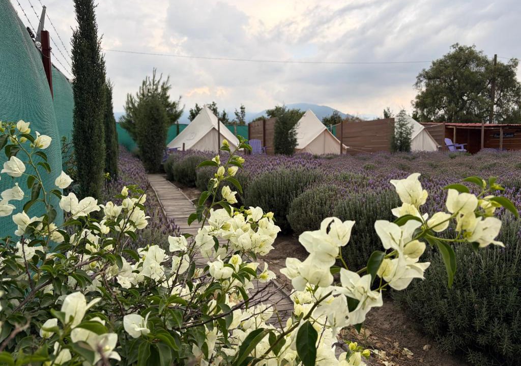 Texcoco de Mora Other | Glamping Rincón de Lavanda
