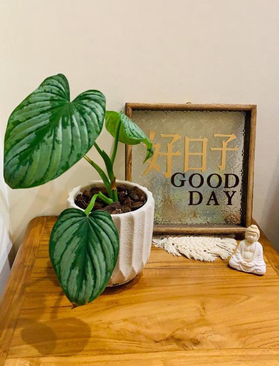 Yuli House | Good Days