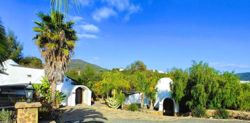 San Antonio de las Minas Cabin | Hacienda Eco-Domes