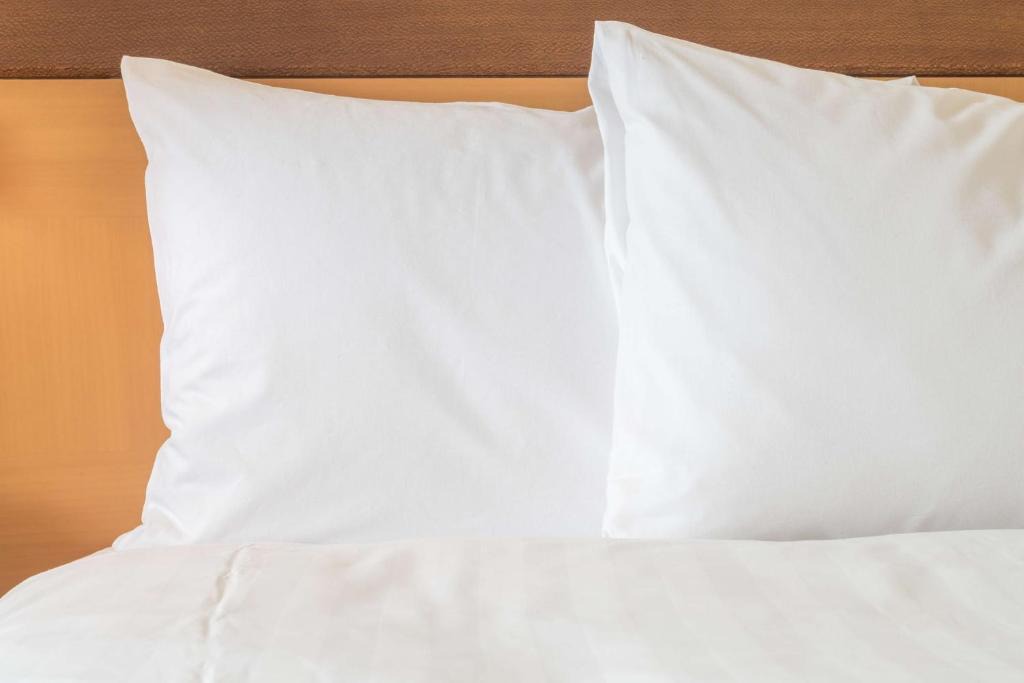 Navojoa Hotel | Holiday Inn Navojoa by IHG