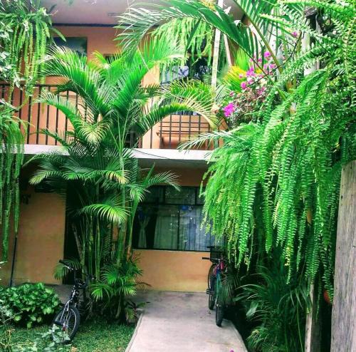 Panajachel Hotel | Hospedaje Eli Panajachel