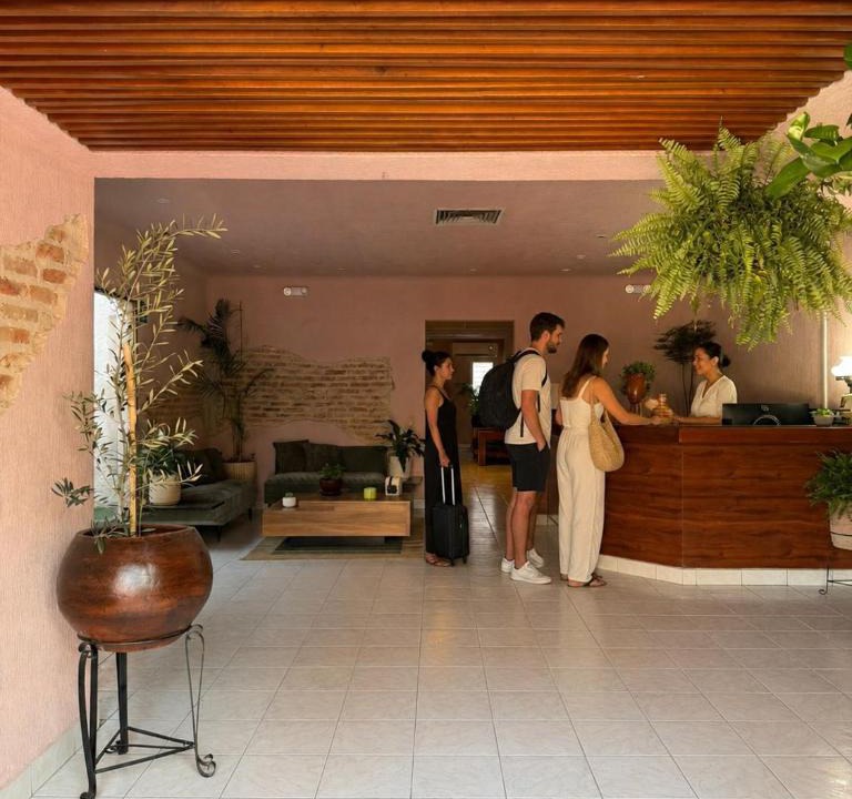 Zona Minerva House | Hostal Punto Americana