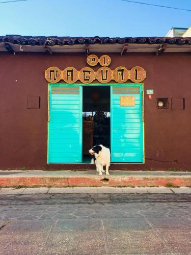 Santa Lucia Hostel | Hostel El Nagual