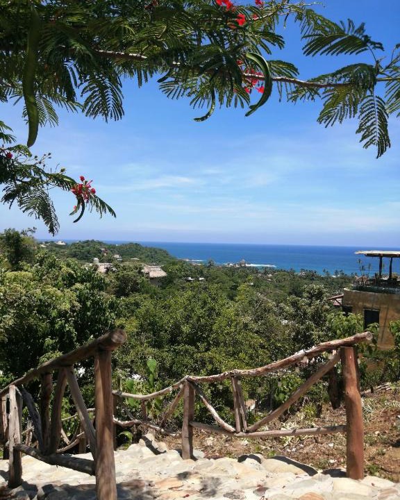 Mazunte Hotel | HOTEL AVE FENIX
