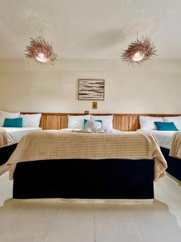 Colonia Centro Hotel | Hotel cacao spa cozumel