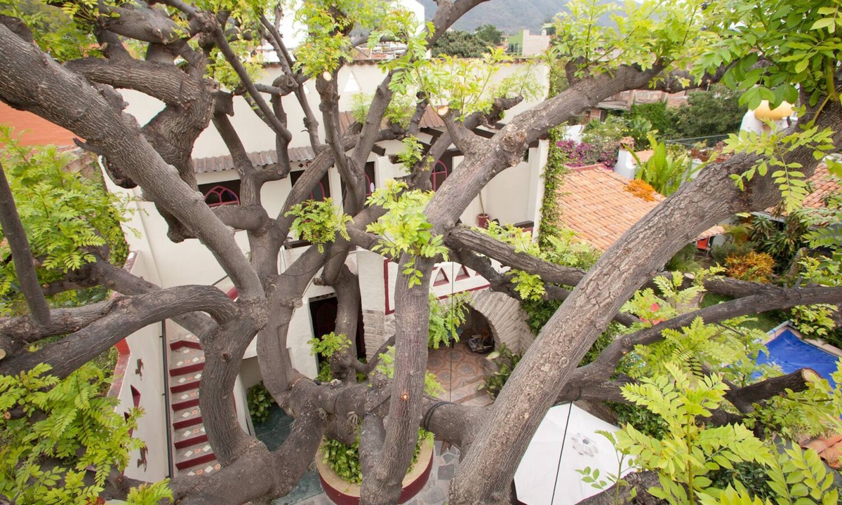 Ajijic Hotel | Hotel Casa Blanca Ajijic