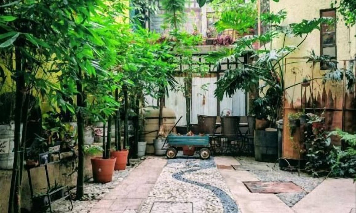 Del Carmen Hotel | Hotel Coyoacan