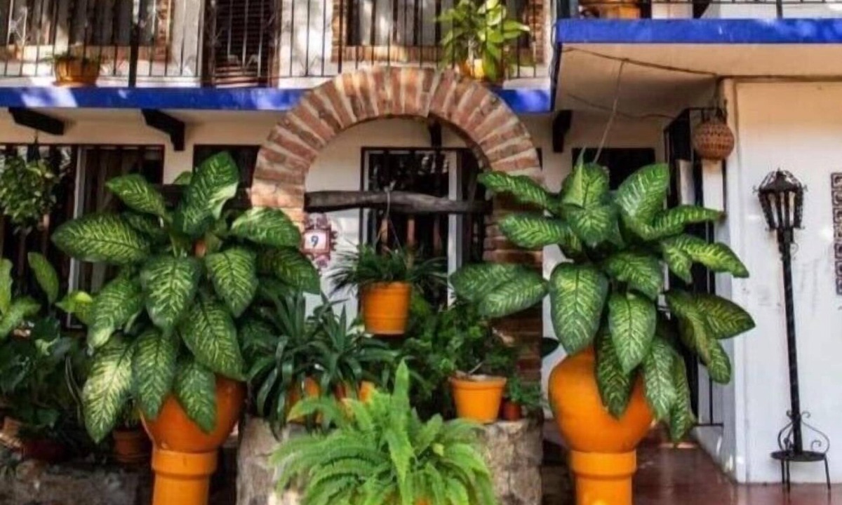 Acapulco Hotel | Hotel Misión, Acapulco Centro