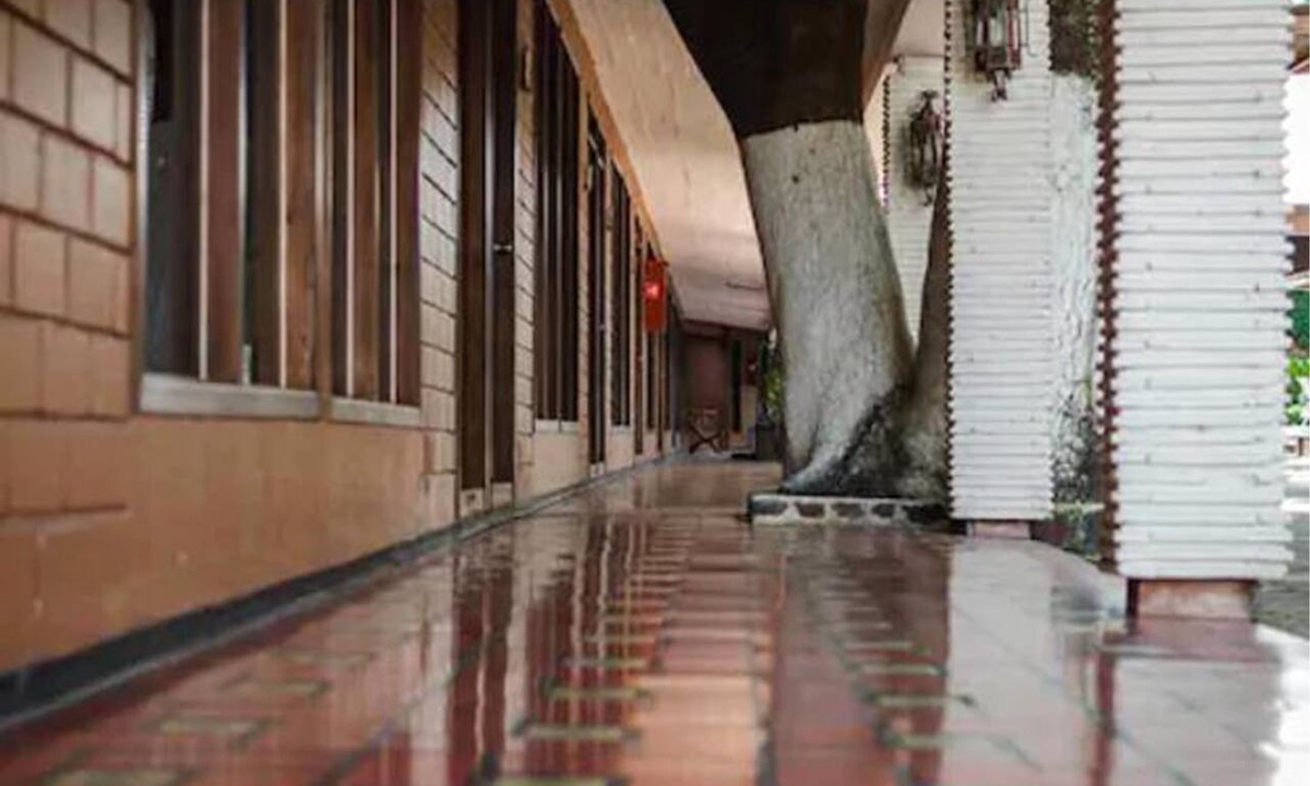 San Juan Bautista Tuxtepec Hotel | Hotel El Rancho