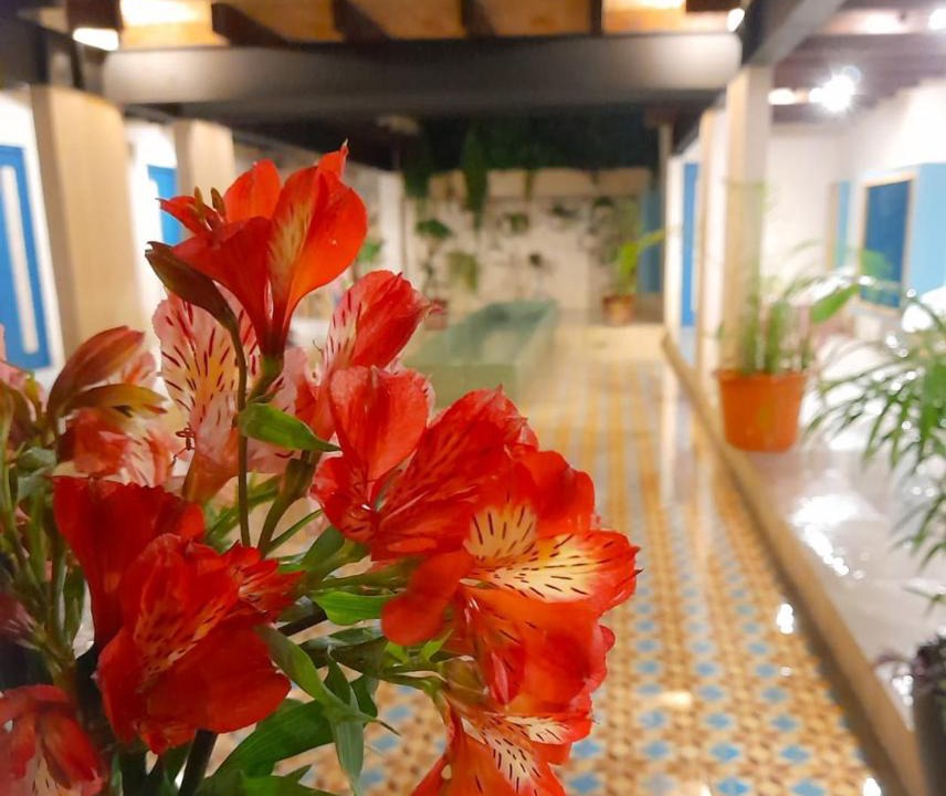 Del Cerrillo Hotel | Hotel Pepen
