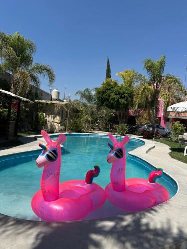 Tehuacan Hotel | Hotel Pink TH