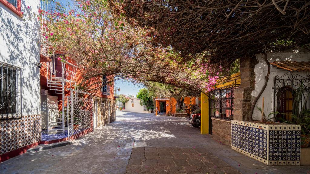 San Luis Potosi Hotel | Hotel Posada Bugambilias