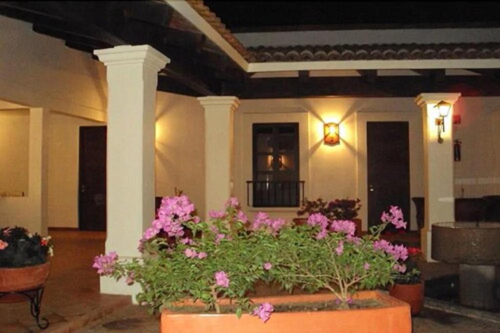 Mascota House | Hotel Posada Santa Rita