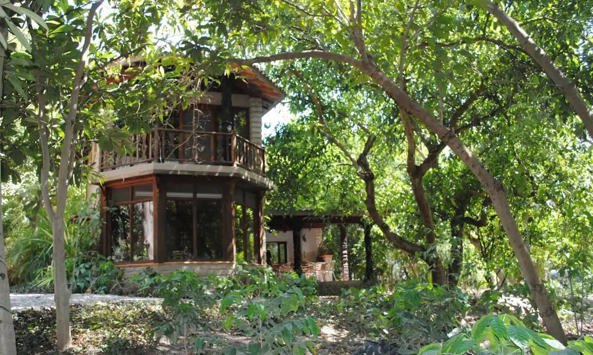 Xoxocotla Cabin | Idyllic cottage in the middle of nature close to river