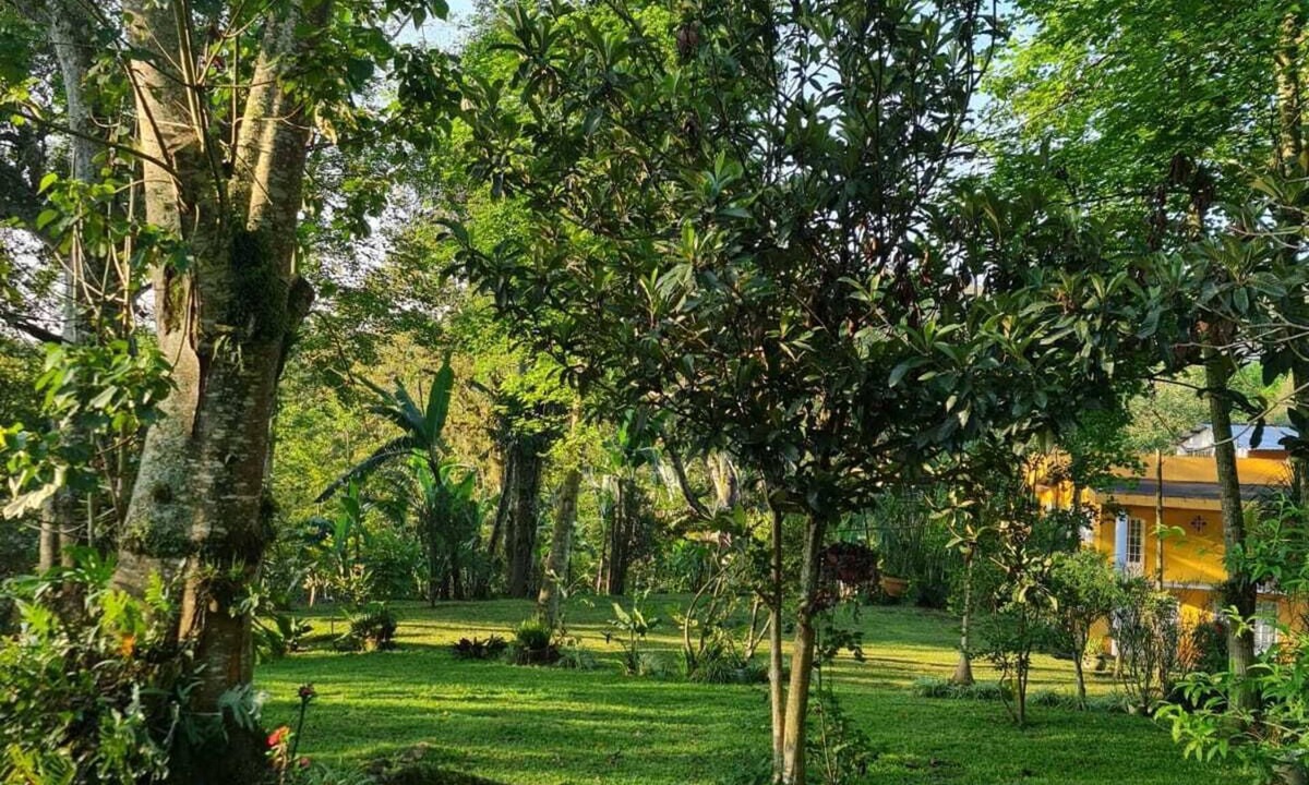 Xico Hotel | Jardin de los Anturios, Xico