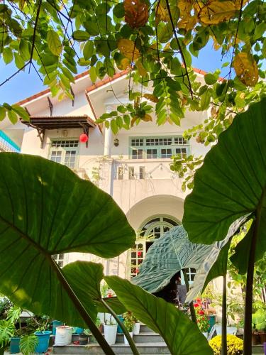 Hue House | ký ức tươi đẹp homestay