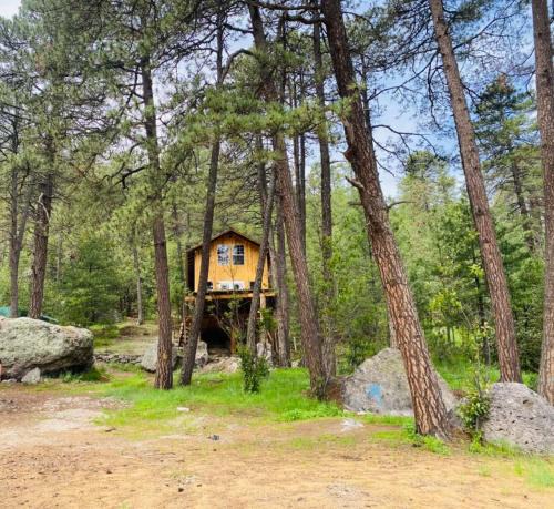 Creel Ski Chalet | Kari Hillcabins