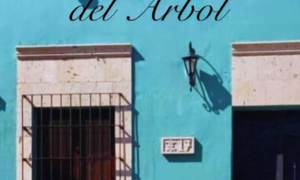 Tequila House | La Casa del Arbol, only 50 meters away from the municipal square, tourist tours and church.