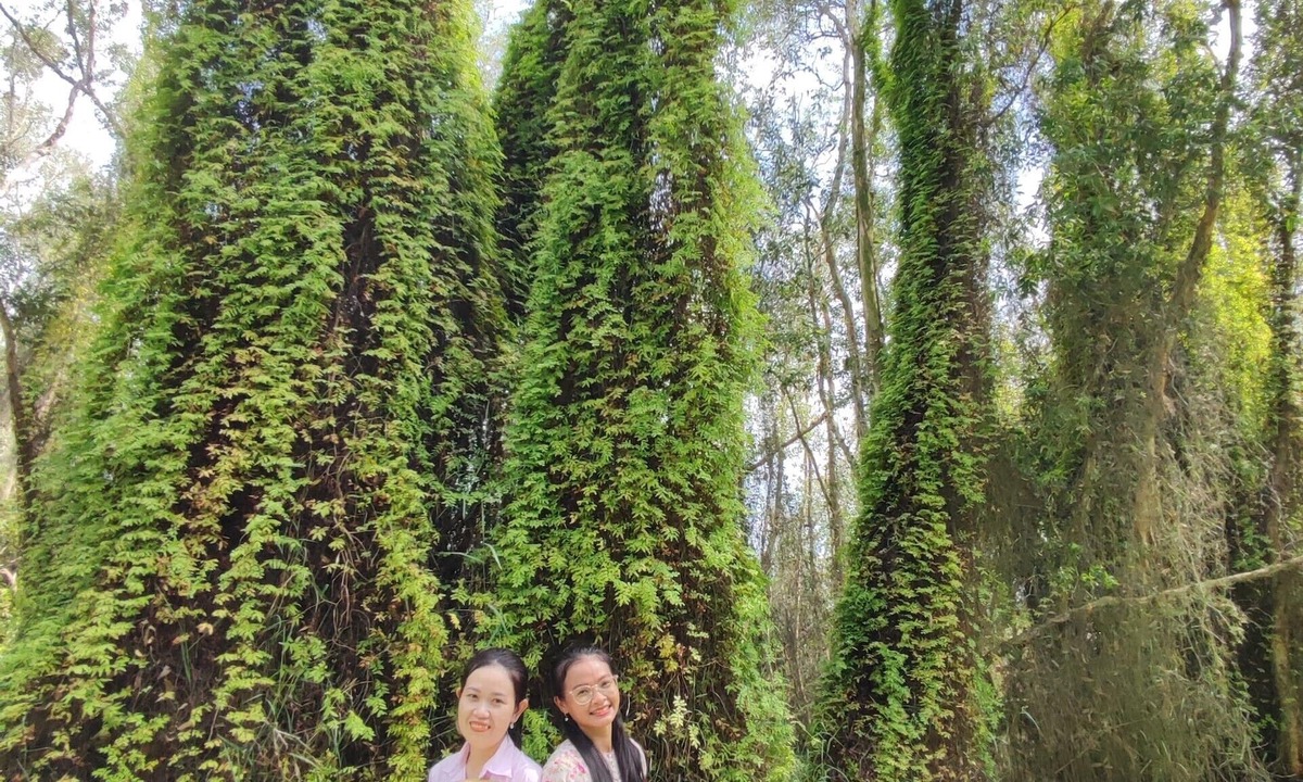 Moc Hoa Hotel | Lang Noi Tan Lap Hotel