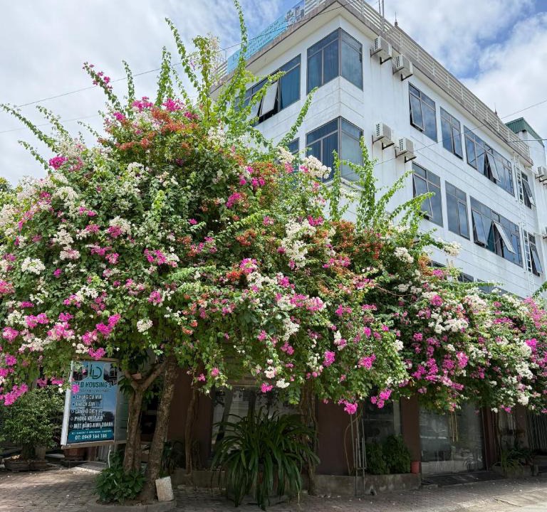 Dong Son Hotel | ld housing 9