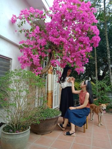 Thuy Xuan Bed & Breakfast | Le Home