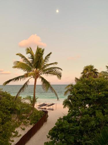 Zona Hotelera Hotel | Libelula Tulum Beachfront Hotel