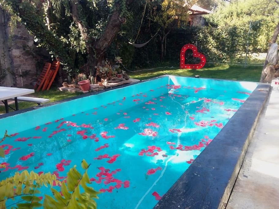 Teotihuacan Apartment | LOFT420 CON PISCINA Y JARDIN AMPLIO