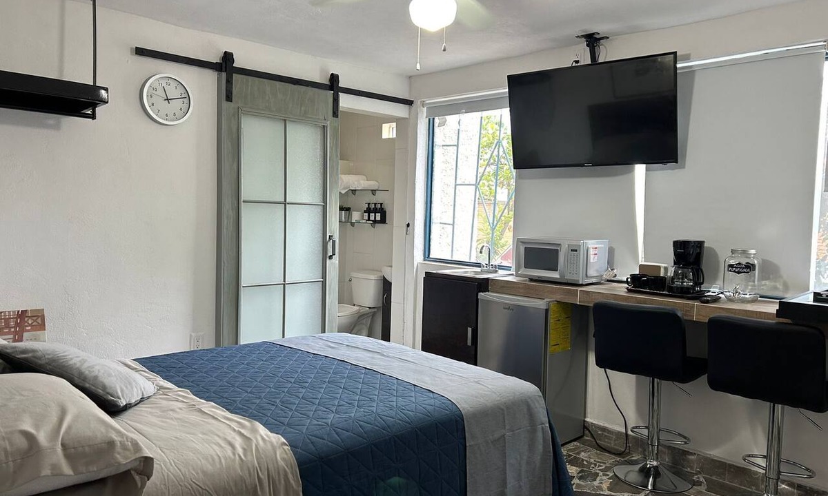 San Luis Potosi Apartment | Lovely 1-bedroom apartment in San Luis Potosí perfect for your stay