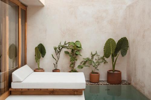 Brisas de Zicatela Hotel | Lunaya
