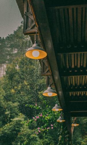 Da Lat Hotel | Một Chiều Mưa Lang Thang