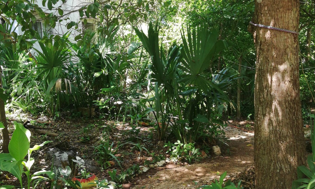 Tinum Bed & Breakfast | Mayan Bungalow Near Chichén Itza