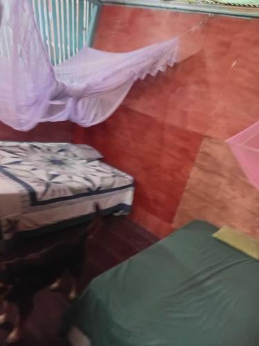 El Remate Apartment | Mi jardin hospedaje