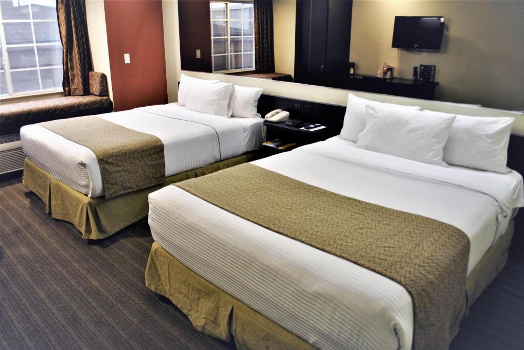 Toluca Hotel | Microtel Inn and Suites by Wyndham Toluca