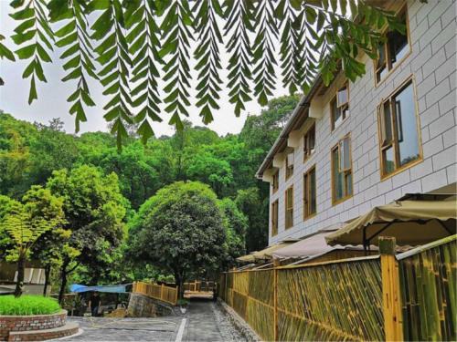 Emeishan House | Mount Emei Bamboo Private Hot Spring Bed and Breakfast