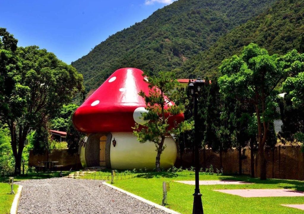 Puli Bed & Breakfast | Mushroom Forest Guesthouse Camping Site