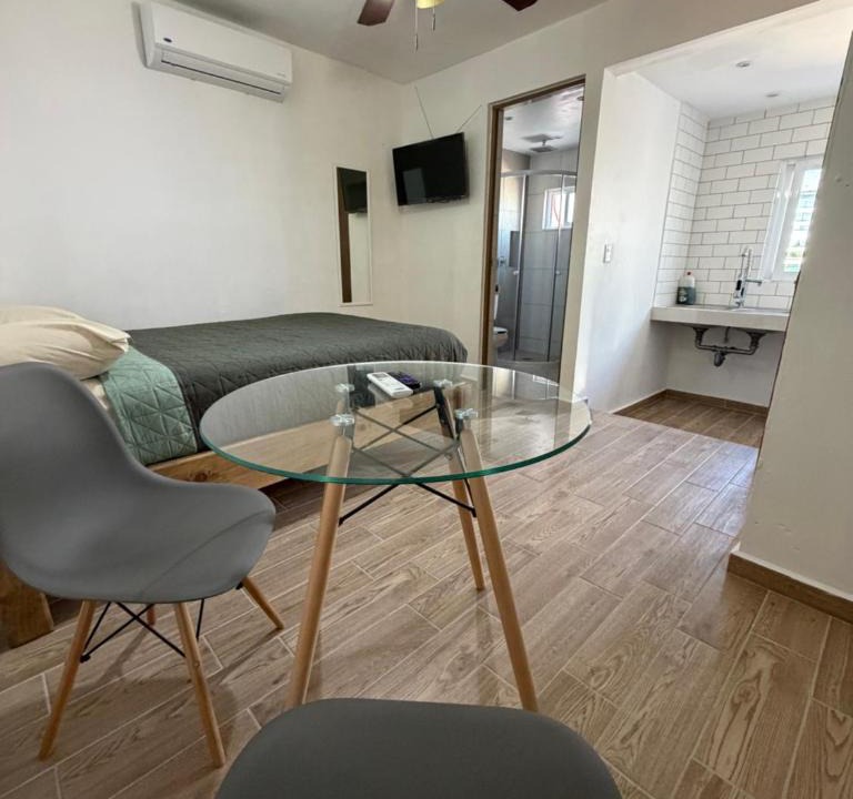 Monterrey Apartment | My Family in Monterrey Lofts