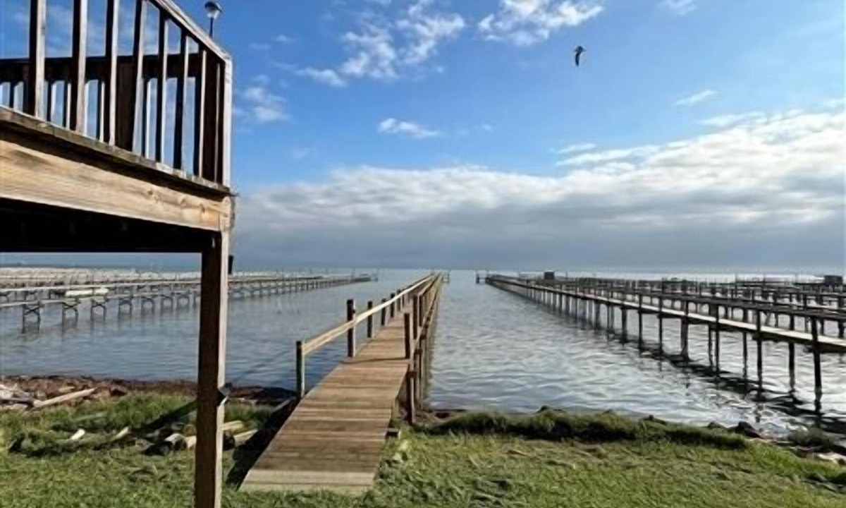 Port Mansfield Apartment | NEW 500' LIGHTED FISHING PIER! JJ's Landing, Large Studio Apartment.