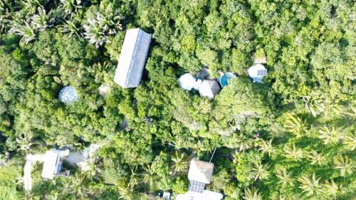 El Cacalote Cabin | New Ruins Off-The-Grid SuperAdobe Domes with Pool
