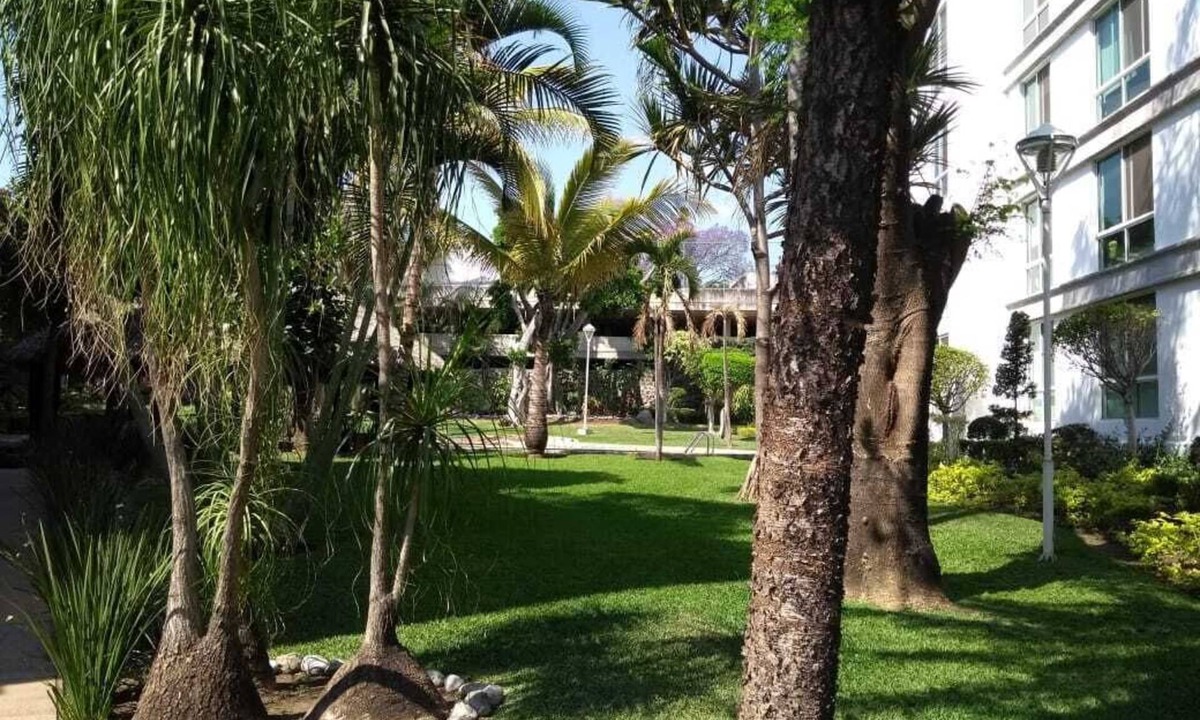 Cuernavaca Apartment | Nice apartment in Cuernavaca. very central.