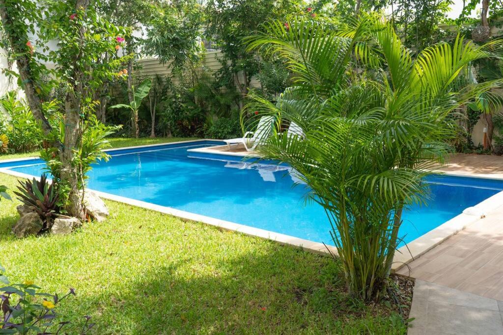 Villa Juarez Apartment | Oceanblue by Andiani Travel