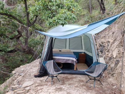 Monterrey Other | Ogachi Mini Glamp