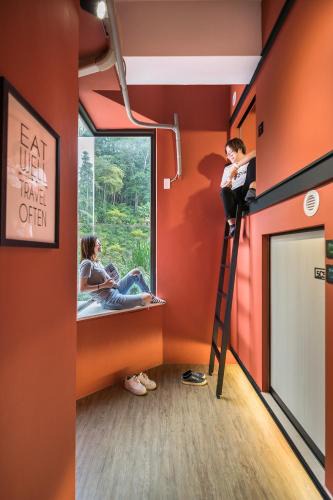Yuchi Hostel | Owl Hostel 貓頭鷹旅店