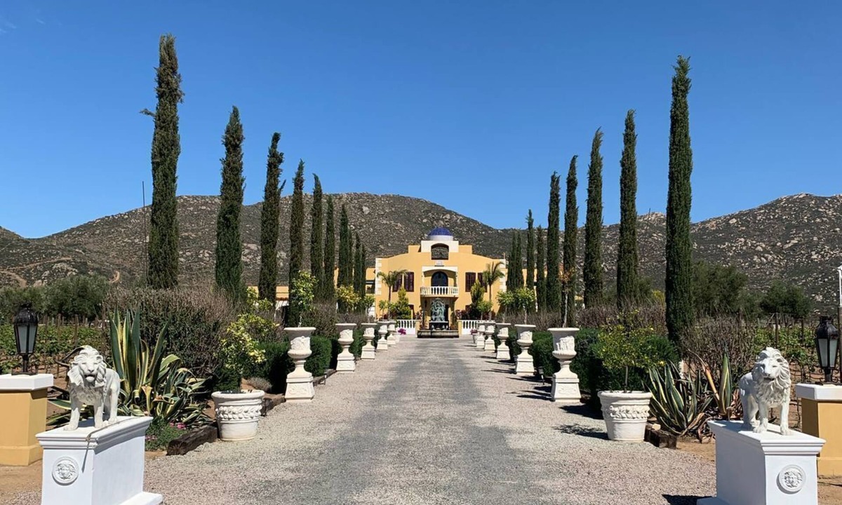 Valle de Guadalupe Bed & Breakfast | Palazzo del valle